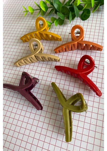 Kadın 6 ' Lı Mini Fiyonk Toka 5 cm Sonbahar Renkleri