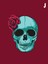 Skeleton Flower Motorcu Buff Maske Outdoor Boyunluk Unisex Bandana 1