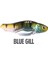 Bass Vib Vibrasyon Jig 1