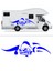 Sinirli Balık Oto STICKER-S1864 1