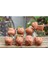 Altıs 250 gr Yap&kurut Doğal Kil Kahverengi/terra Cotta (Kod: 1275) 2