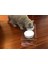 Mama Kabı Seramik Kedi ve Köpek Mama ve Su Kabı Eğimli Yandan Delikli 2