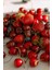 Kırmızı Meyveler Sirkesi 500 ml 3