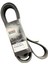 Gergi Kasnak Kayışı Scanıa 1800533 (8 Pk 1795) Bando 1