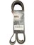 Gergi Kasnak Kayışı Scanıa 1800533 (8 Pk 1825) Bando 1