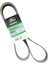 Gergi Kasnak Kayışı Daf Euro 5 1699170 (7 Pk 1690) Gates 1