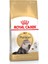 Persian Adult Kedi Maması 4 kg 1