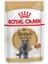 Royal Canın British Shorthair Kedi Konservesi Pouch 85 gr 6 Adet Yaş Mama 2