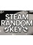 Steam Rastgele Oyun Kodu - Steam Random Key 1