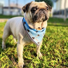 Hug The Dog Hugger Köpek Bandana-Pug Love