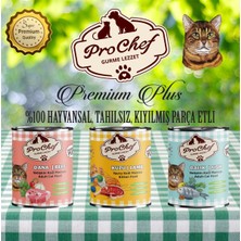 Prochef 12 Adet Premium Plus Yavru Kedi Maması | 415 gr Kuzu Etli Konserve Yaş Mama