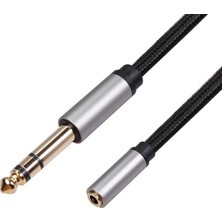 Gazechimp 1/8 Ila 1/4 Stereo Kablo 6.35MM Dişi Ila 3.5mm Erkek Trs Ses Dönüştürücü 3 Metre (Yurt Dışından)