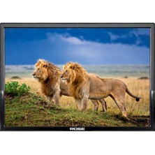 Rose CM-119 19" 49 Ekran HD LED TV (12V Girişli)