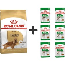 Royal Canin Cocker Yetişkin Köpek Maması 3 kg + 6 Adet Yaş Mama