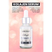 Loxxun C Vitamini Serum +  Serum + Beyazlatıcı Krem + Leke Kremi Seti