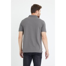 Odelon Erkek Basic Polo Yaka Tişört (Regular Fit) Antrasit