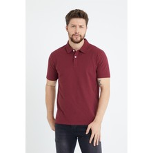 Odelon Erkek Basic Polo Yaka Tişört (Regular Fit) Bordo