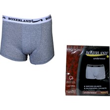 Boxerland Gri Likralı Boxer Ekonomik 3'lü Paket