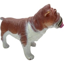 Soft Köpekler - Amerikan Bulldog Cinsi Köpek - E013