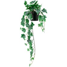 Hobiceyiz Yapay Bitki, Asılabilir Sarmaşık, 12 Cm, Fejka