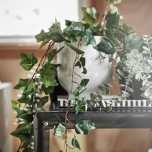 Hobiceyiz Yapay Bitki, Asılabilir Sarmaşık, 12 Cm, Fejka