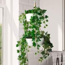 Hobiceyiz Yapay Bitki, Asılabilir Sarmaşık, 12 Cm, Fejka