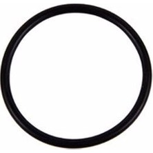 SBC 24.00*1.00 Viton O-Ring