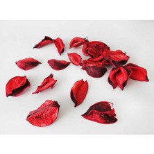 Kidspartim Gül Yaprağı Naturel Kokulu KIRMIZI100 Gram