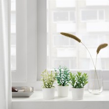 Hobiceyiz Saksılı Yapay Bitki, Yeşil, 5 Cm, Fejka