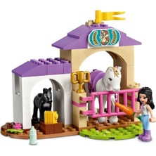 Sunman LEGO Friends At Eğitmeni ve At Eğitimi 41441