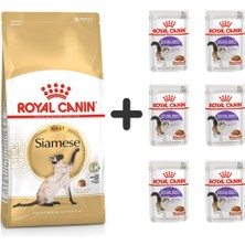 Royal Canin Siamese Yetişkin Kedi Maması 2 kg + 6 Adet Yaş Mama