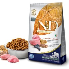 N&D  Düşük Tahıllı Kuzu Etli Yaban Mersinli Yetişkin Köpek Maması 2,5 kg