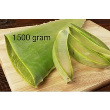Aloe Vera Bitkisi 1500 Gram