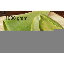 Aloe Vera İstanbul Aloe Vera Bitkisi