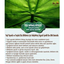Dr. Worm Yeşil Yapraklı Bitkiler Organik Içerikli Sıvı Bitki Besini 500 ml
