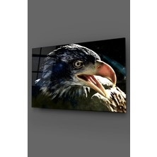 Taulart Kartal Yakın Çekim Cam Tablo