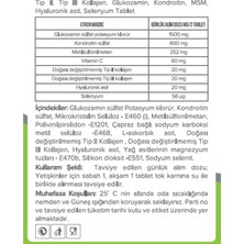 İnsvit Collagen Tip 2 Tip 3 Hyaluronic Acid Msm Kondroitin Selenyum 60 Tablet  2 Adet