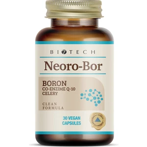 Bı7tech Neorobor