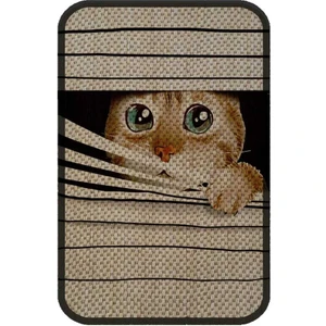 Desenli Kedi Tırmalama Paspası 58X37 cm