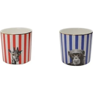 Wild Life Monkey Giraffe 2'li Bardak 230CC