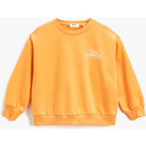 Basic Sweatshirt Baskılı Detaylı Uzun Kollu Bisiklet Yaka