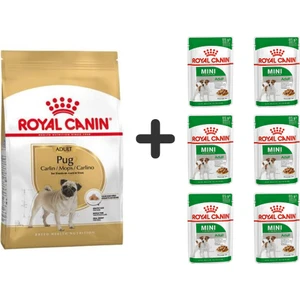 Royal Canin Pug Irkı Özel Köpek Maması 1,5 kg + 6 Adet Yaş Mama