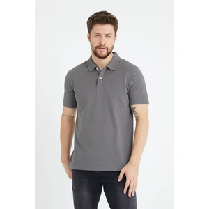Erkek Basic Polo Yaka Tişört (Regular Fit) Antrasit