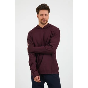 Erkek Comfort Fit Kapüşonlu Düz Sweatshirt Mürdüm
