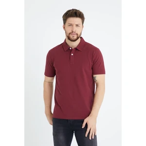 Erkek Basic Polo Yaka Tişört (Regular Fit) Bordo