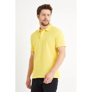 Erkek Basic Polo Yaka Tişört (Regular Fit) Sarı