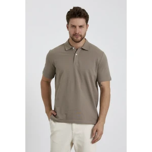 Erkek Basic Polo Yaka Tişört (Regular Fit) Vizon