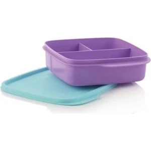 Mor Bölmeli Beslenme Kutusu 550 Ml