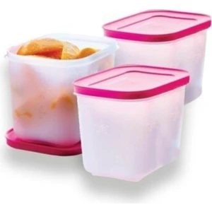 Alaska 1.1 Lt Saklama Kabı - 3'Lü Set
