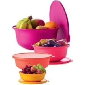 Aloha Set Saklama Kapları 4'Lü